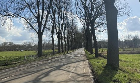 Te koop: Foto Overig OG aan de Wielstraat ong in 's Gravenmoer